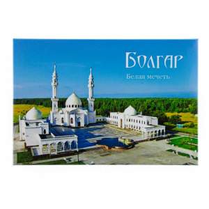 Магнит закатной 55х80 Болгар  